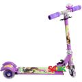   Profi Trike BB 3-001   