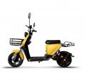  Forte RZ500