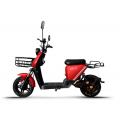  Forte RZ500