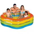   Intex 56495