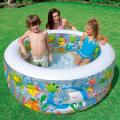   Intex 58480