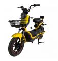  Forte CR800