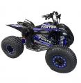 Forte ATV1000I