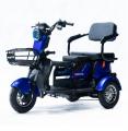  Forte Family-P600 