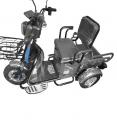  Forte CARGO-WS600 