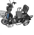  Forte CARGO-WS600 ׸