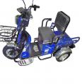  Forte CARGO-WS600 