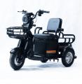  Forte CARGO-P650 