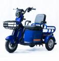  Forte CARGO-P650 