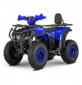  Forte FFP1500