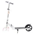   Ecoline Rapler -