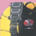  Dive System RECH TECH 