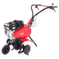  PUBERT TERRO 60 BC2
