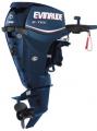   Evinrude E 25 DTE