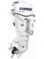   Evinrude E 75 DSL