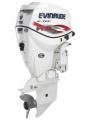   Evinrude E 115 DSL