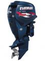   Evinrude E 115 DPX