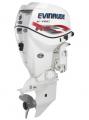   Evinrude E 115 DCX