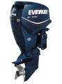   Evinrude E 115 DHL