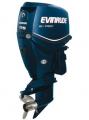   Evinrude E 175 DCX