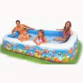   Intex 58485