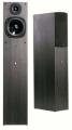   Audio Pro  EVO 50 