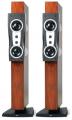   Dynaudio CONFIDENCE  C2