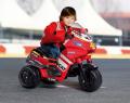   Peg Perego Ducati Desmosedici Rider VR (ED 0916)