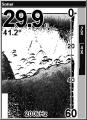  Eagle FishMark 640
