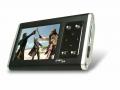 GPS  EasyGo 230
