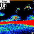  Garmin Fishfinder 160