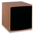  Triad InRoom Bronze PowerSub/R250
