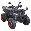  Spark SP200-1 camo