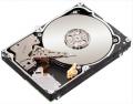  3.5 Seagate ST31000524NS