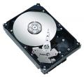  3.5 Seagate ST3160813AS