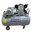   SHININGBERG STSV200/600