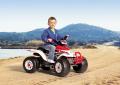   Peg Perego T-REX 2012 (-) OR 0058