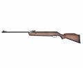   Crosman Vantage