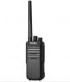   Iradio DP-888