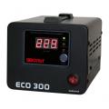     ECO 300