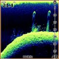  Lowrance Elite-5 DSI 