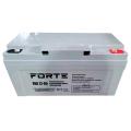  Forte FBG12-65