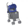  Bertoni FIESTA  (blue grey puppies)
