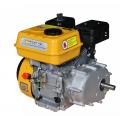  Forte F210GRO