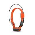 GPS   Garmin    Garmin Alpha T 20