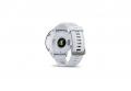   Garmin Forerunner 955 Solar  
