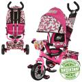  Turbo Trike WX 0102  