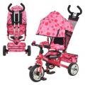  Turbo Trike  5363-8-1