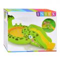   Intex   57132