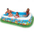   Intex 58485